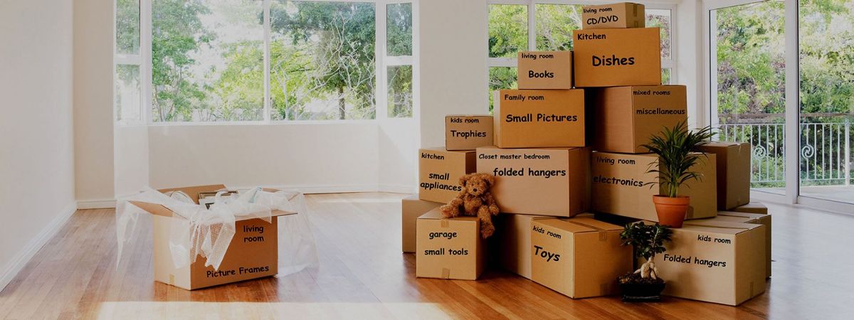 Packing Tips for Moving Day